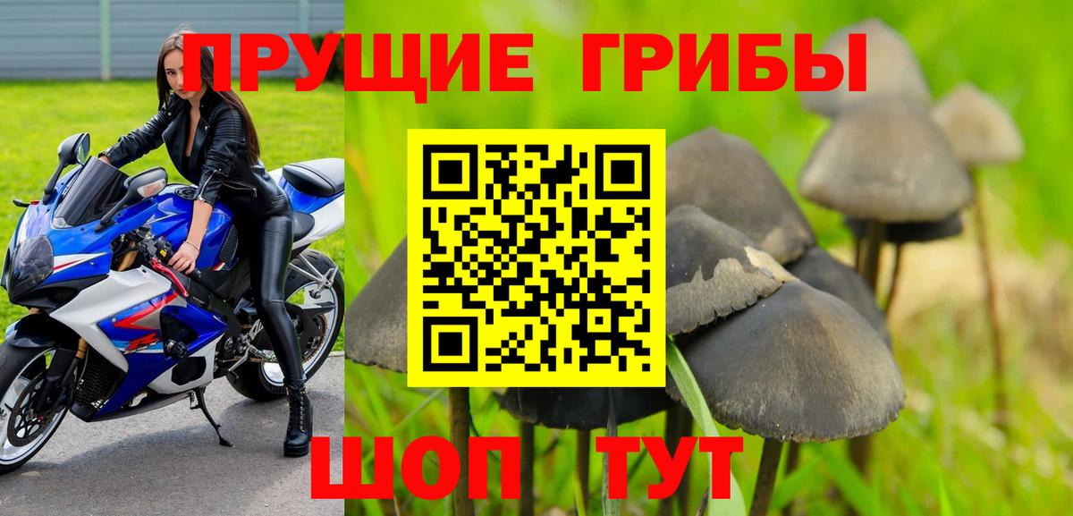 Галлюциногенные грибы MAGIC MUSHROOMS  Галлюциногенные грибы прущие грибы  Вход с VPN  Пугачёв 